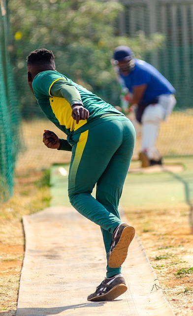 Cricket and Traditional Healing Practices: Cultural Perspectives