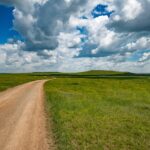 Exploring the Market for Electric Vehicle Charging Infrastructure: Opportunities for Dealerships: Tigerexch, Golden77.com, Sky 99 exch