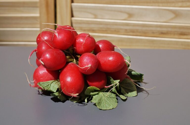 From Farm to Table: Understanding the Journey of Fresh Produce: 11xplay reddy login password, 24 betting login india sign up, Skyinplay.com login